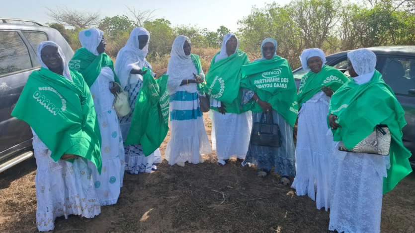 Remise de Don d’un Terrain de Deux Hectares aux Ndayou Daara par Madame Ndiaye