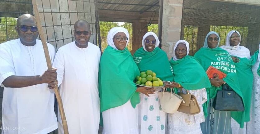 Remise de Don d’un Terrain de Deux Hectares aux Ndayou Daara par Madame Ndiaye